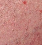 SZNUR - LUDZINA (CD)