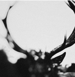 IHSAHN - IHSAHN ORCHESTRAL VERSION (CD DIGIBOOK) 