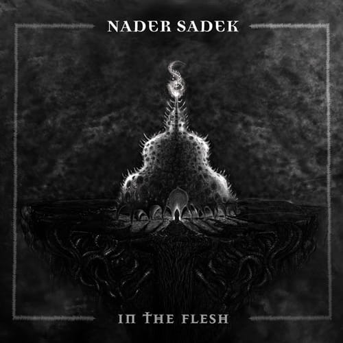 NaderSadekInTheFlesh.jpg